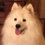 Joyce Harmon - @joyceharmon17 - Instagram