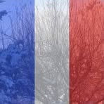 Joyce Harshbarger - Facebook