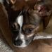 Joyce Harter - Facebook