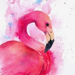 Joyce Hartmann - Facebook