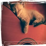 Joycehartmann - @joycehartmann9 - Instagram