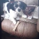 Joyce Hartwell - @joycehartwell - Instagram