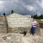 Joyce Hatley - @joyce_hatley - Instagram