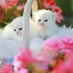 joyce hatley - @joycehatley - Instagram
