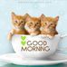 Joyce Hatton - Facebook