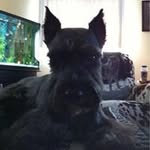 Joyce Head - @head_joyce - Instagram