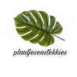 Joyce Hegeman - @plantjesenstekkies - Instagram