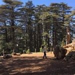 Joyce Helou - @joycehelou7 - Instagram