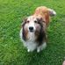 Joyce Helsel - Facebook