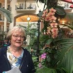 Joyce Sterner Hendren - @joycesternerhendren - Instagram