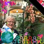 Joyce Sterner Hendren - Facebook