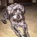 Joyce Henshaw - Facebook