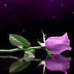 Joyce Hightower - @joycehightower42 - Instagram