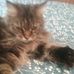 Joyce Hightower - Facebook