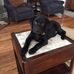 Joyce Hildreth - Facebook