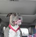 Joyce Hitt - Facebook