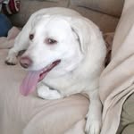 joyce - @joycehobson989 - Instagram