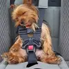 joyceholliday385 - @joyceholliday385 - TikTok