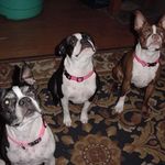 Joyce Hoyle - @hoylejoyce - Instagram