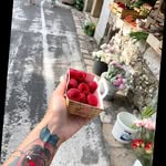 Joyce Huff - @joyce.huff1317 - Instagram