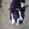 joycehuffmanmcder - @joycehuffmanmcder - TikTok