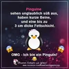 Joyce Hummel - @unicorn_queen_2512 - TikTok