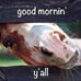 Joyce Hummell - Facebook