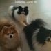 Joyce Huss - Facebook