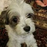Joyce Hyatt - @hyattjoyce - Instagram