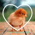 Joyce hyatt - @joycehyatt23 - Instagram