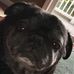 Joyce Ingoldsby - Facebook