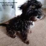Joyce Jackson - @joycejackson001 - Instagram