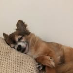 Joyce Jelinek - @jo.yce5731 - Instagram