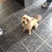 Joyce Jobe - Facebook
