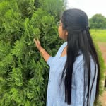 Joyce Johnson - @joyce_susairaj_bush - Instagram