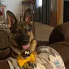 Joyce Johnson - @joyce.johnson1 - TikTok