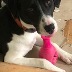 Joyce Johnstone - @johnstone.jd - Instagram