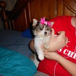 Joyce Kammerer - Facebook
