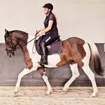 Joyce van der Kamp - @hangon2joy - Instagram