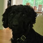 Joyce Kaplan - @obesesaxophone - Instagram