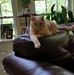 Joyce Keener - Facebook