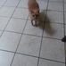 Joyce Keener - Facebook