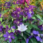 Joyce Trout Keener - @gigikeener - Instagram