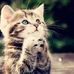 Joyce Kellogg - Facebook