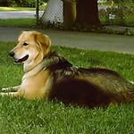 Joyce Kellogg - @joyce.kellogg.79 - Instagram