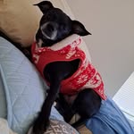 Joyce Kerns - @queenkerns6846 - Instagram