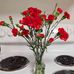 Joyce Kerns - Facebook