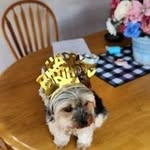 Joy Kessinger - @kessingerjoyce699 - Instagram
