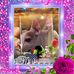 Joyce Kessinger - Facebook