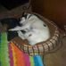 Joyce Kessinger - Facebook